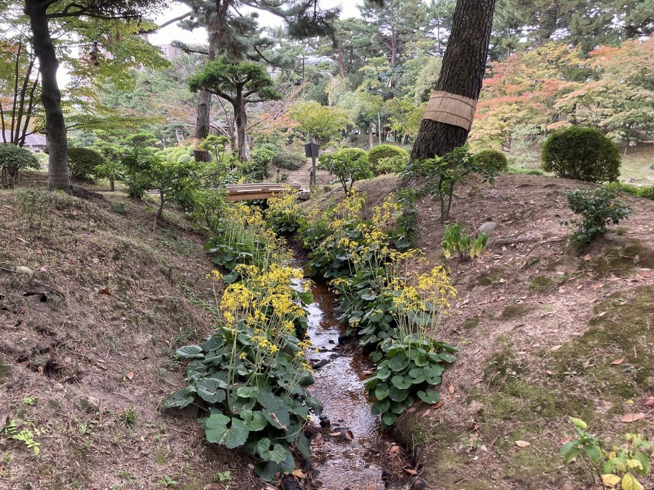 日本庭園の灯篭あれこれ|広島市|広田造園|造園工事