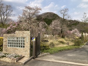 IMG_6545[1]