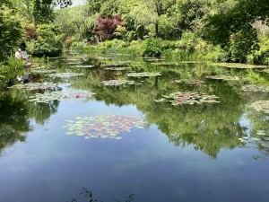 MG_6594[1]